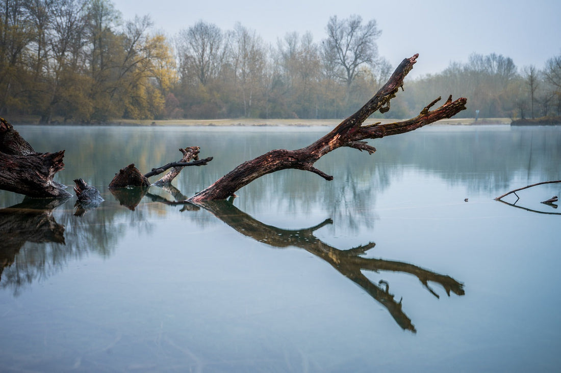Fotografieren bei schlechtem Wetter: Potenzial für neue Perspektiven!