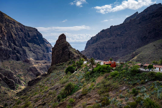 Masca Schlucht: Die wilde Seite von Teneriffa