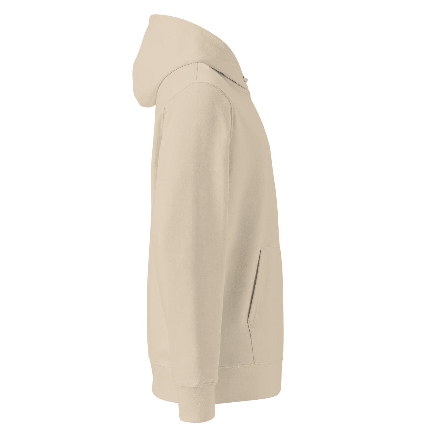 Take A Hike Hoodie in Beige
