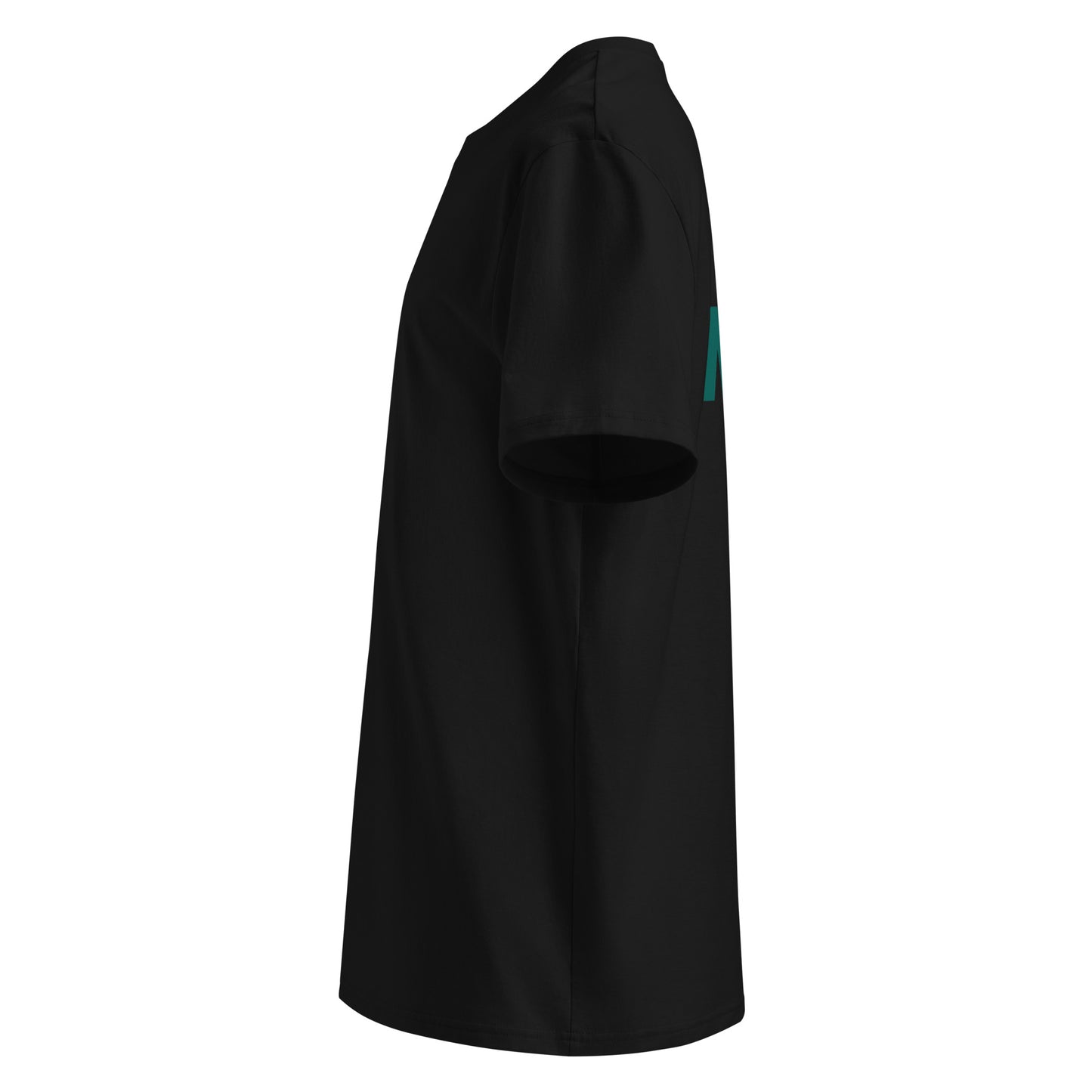 Breitengrad Nord Bio-Baumwoll-T-Shirt in Schwarz