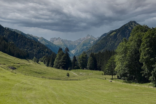 Oytal: Eine leichte Wanderung mit faszinierendem Ausblick