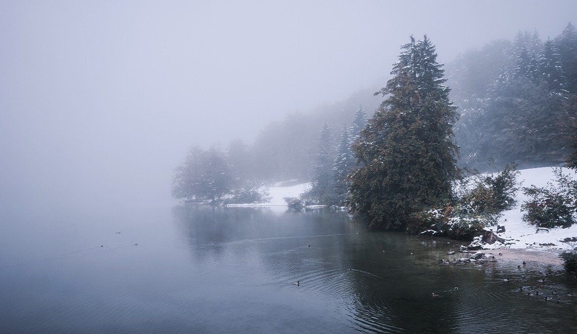 Nebel fotografieren: Der große Leitfaden